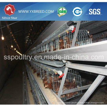 Chicken Layer Battery Cage for Farm